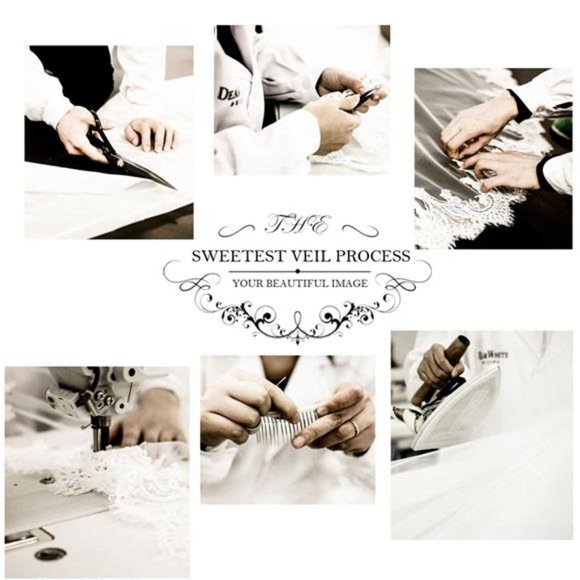 Cathedral Wedding Veil 1 Tier Lace Applique Bridal Veil with Comb (Ivory) - Picture 7 of 8